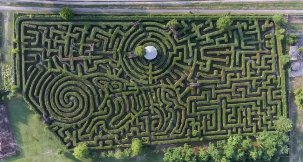 csillagosveny-maze-1