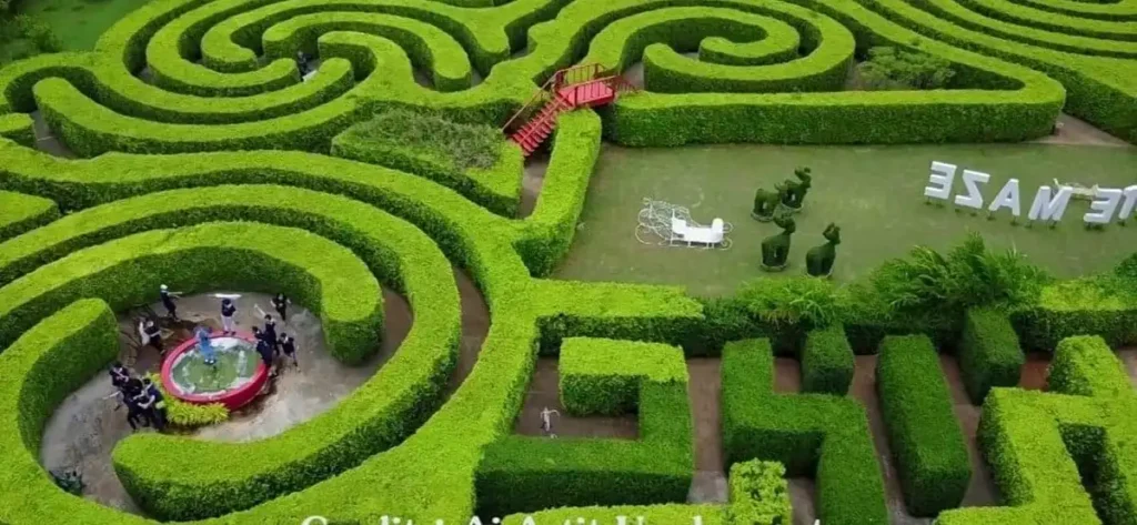pete-maze-3