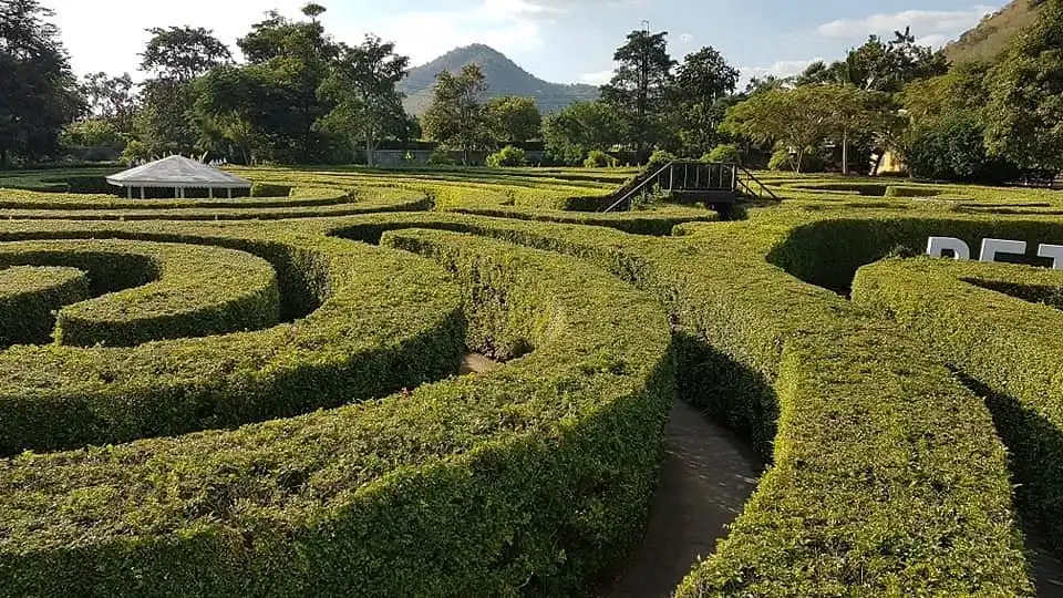 pete-maze-6