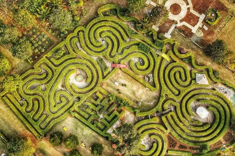 pete-maze-7