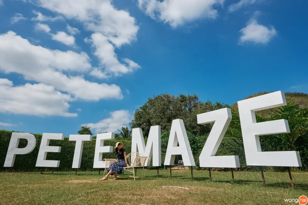 pete-maze-9