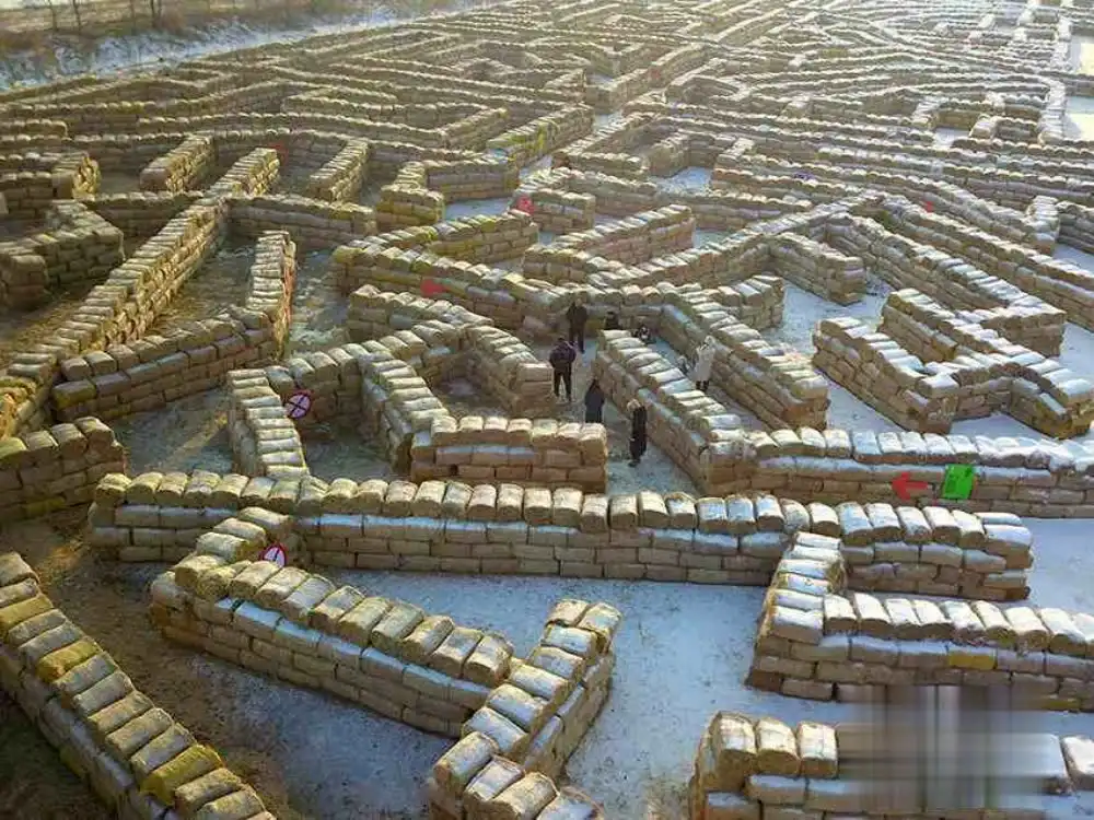 rare-straw-maze-4