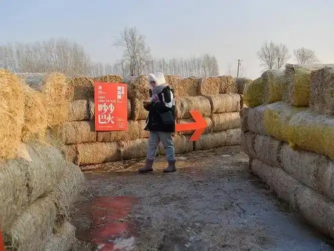 rare-straw-maze-7