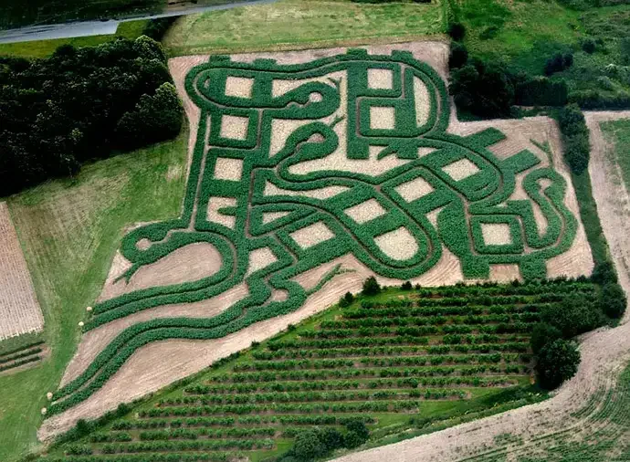 snakes-ladders-maze-1