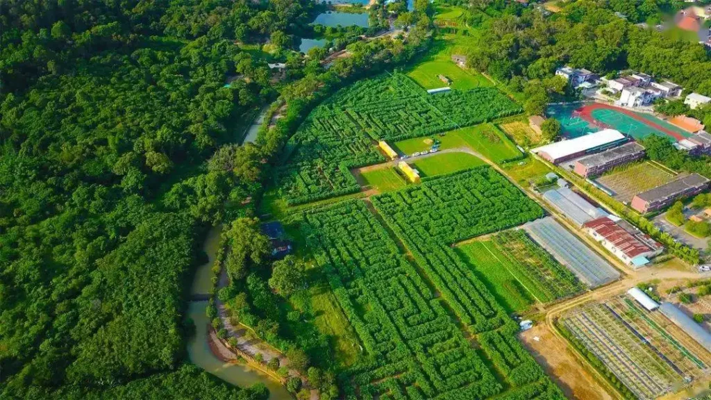 wuguishan-grass-maze-2