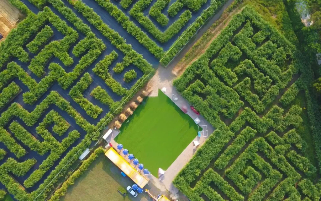 wuguishan-grass-maze-3
