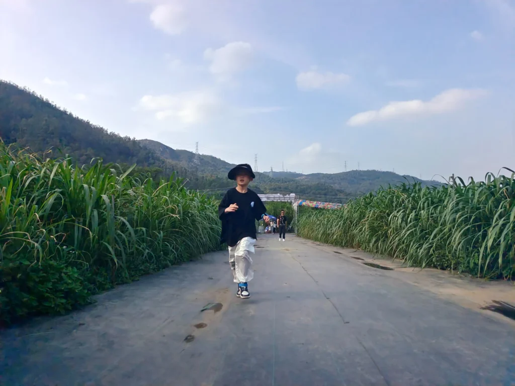 wuguishan-grass-maze-5