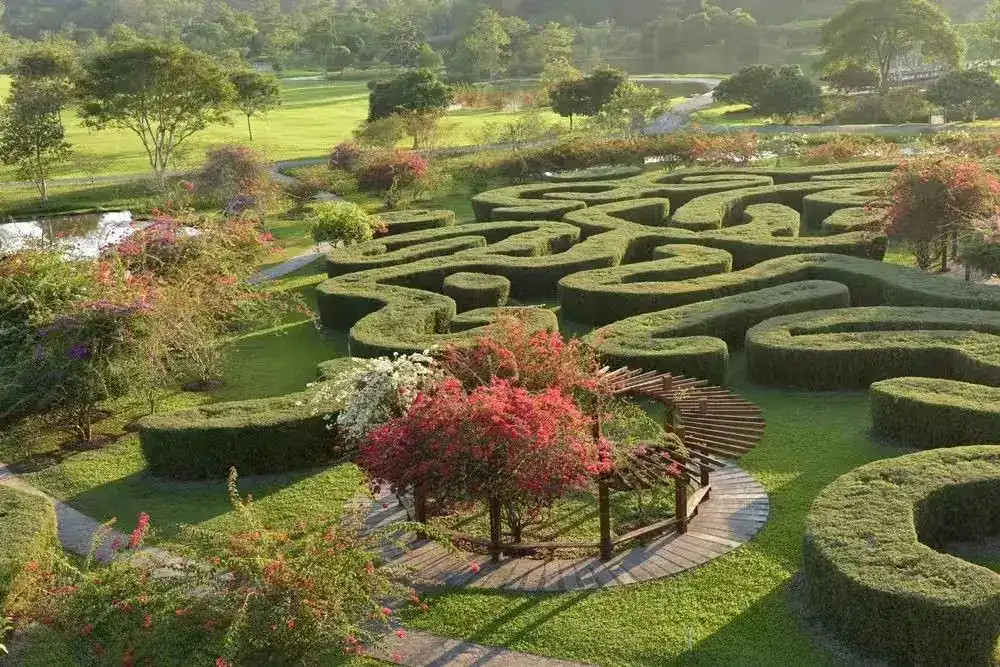 xishuangbanna-tropical-botanic-garden-maze-1