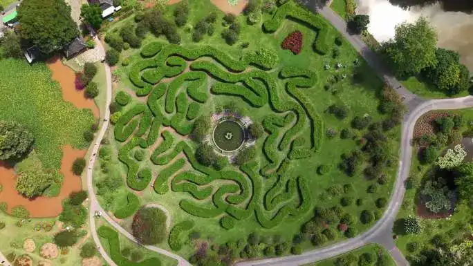 xishuangbanna-tropical-botanic-garden-maze-7