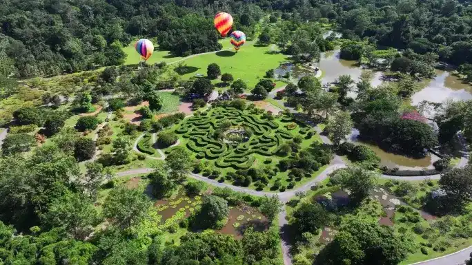 xishuangbanna-tropical-botanic-garden-maze-8