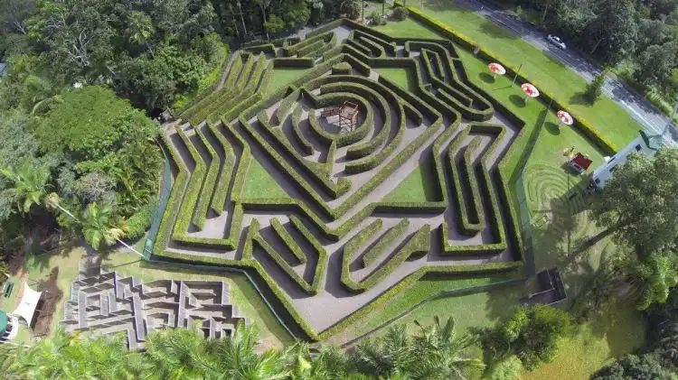 bellingham-maze-1