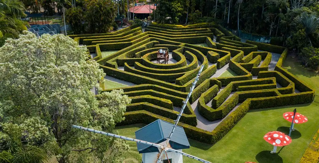bellingham-maze-2
