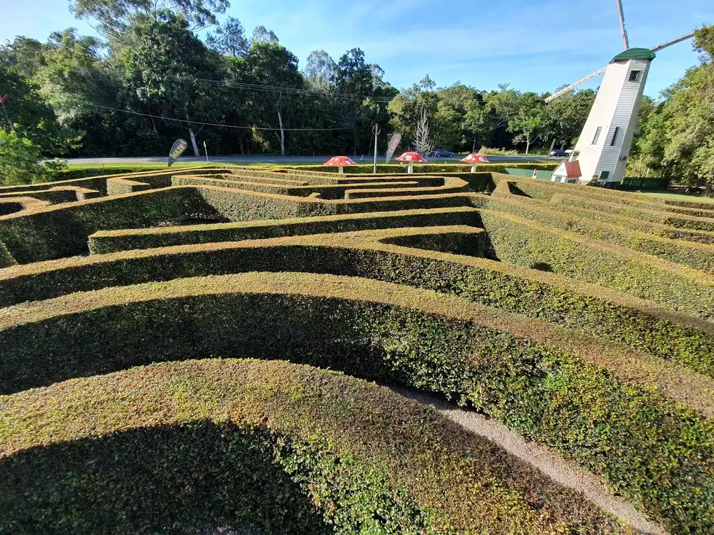 bellingham-maze-5