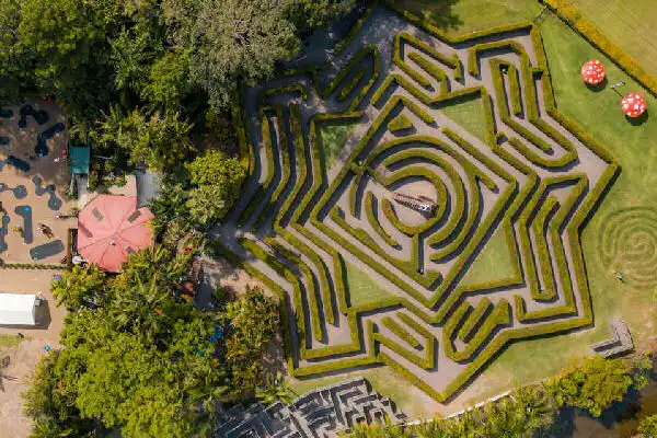 bellingham-maze-7