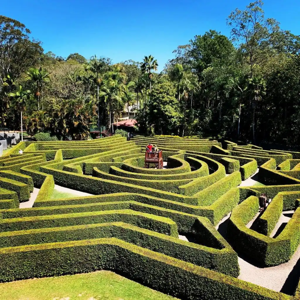 bellingham-maze-8