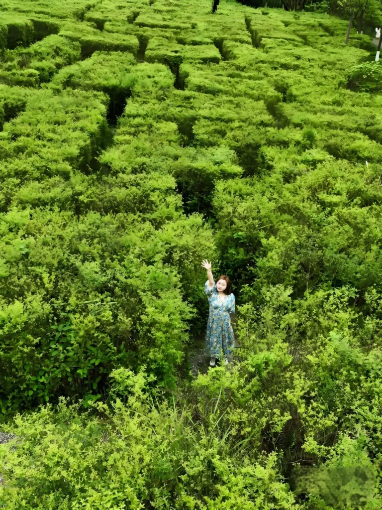 eyas-plants-maze-7