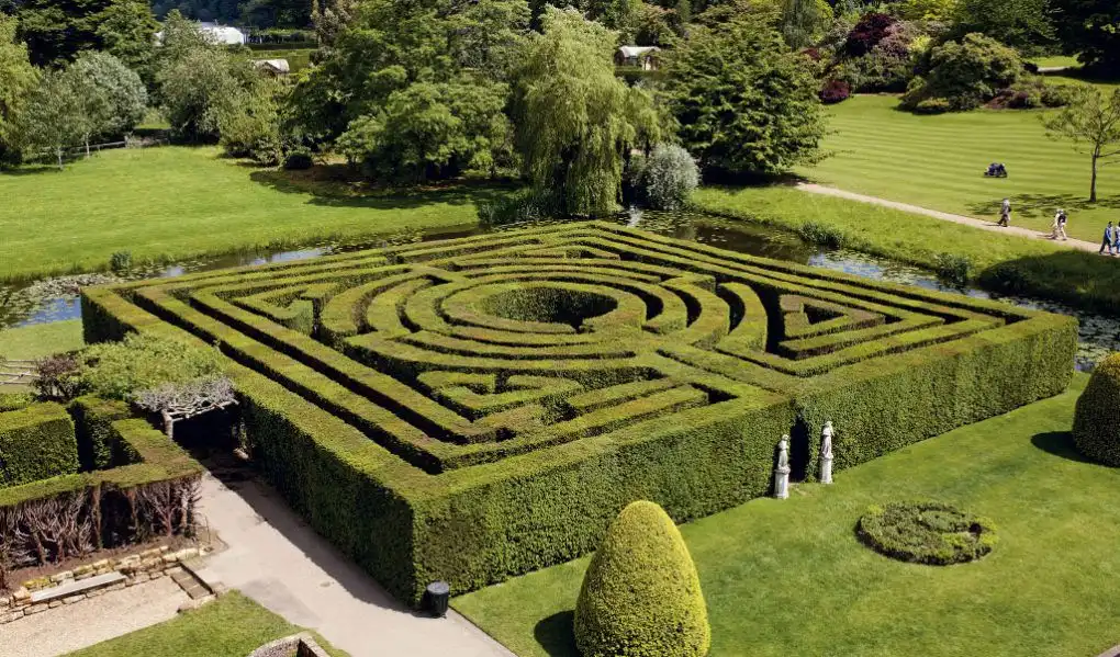 hever-castle-gardens-yew-maze-2