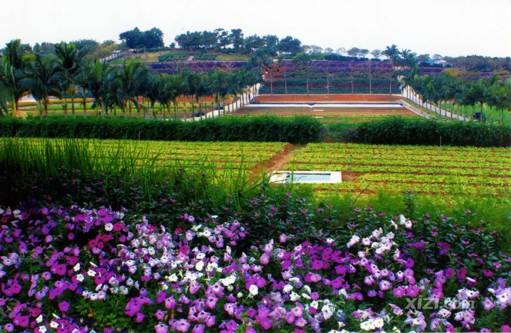 huizhou-yongji-maze-3