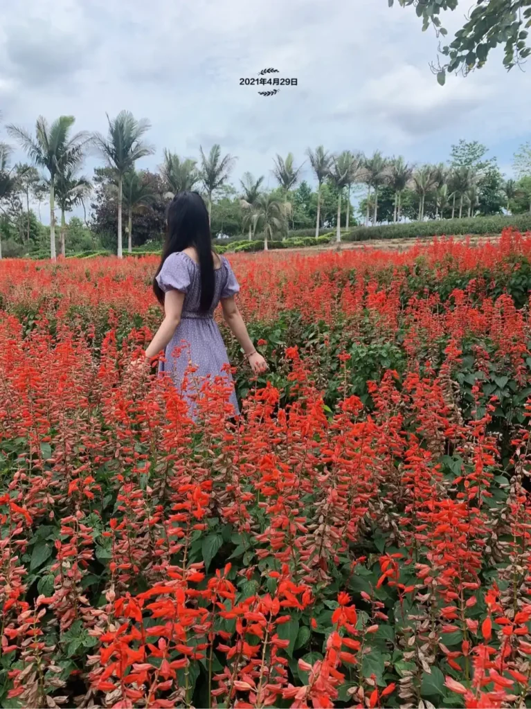 huizhou-yongji-maze-5