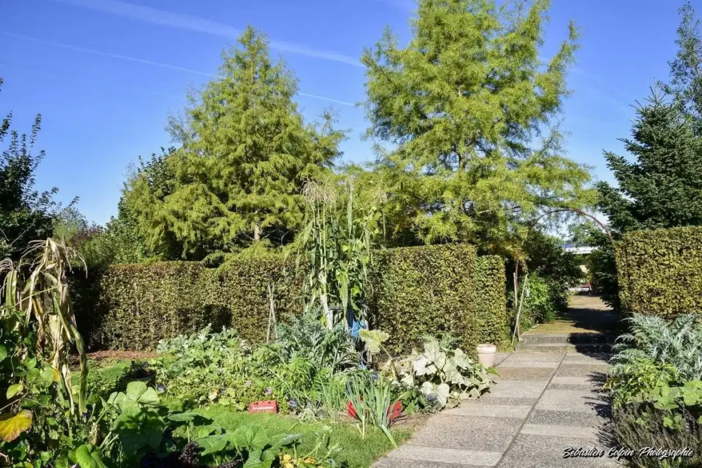 jardine-de-colette-maze-7