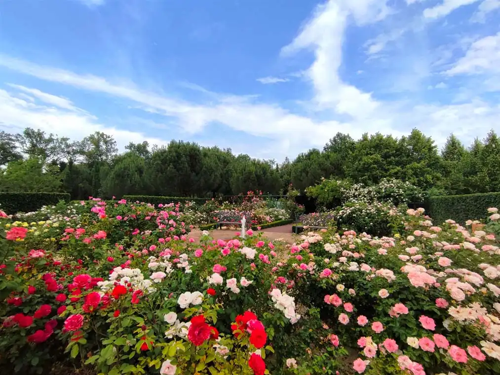 jardine-de-colette-maze-9