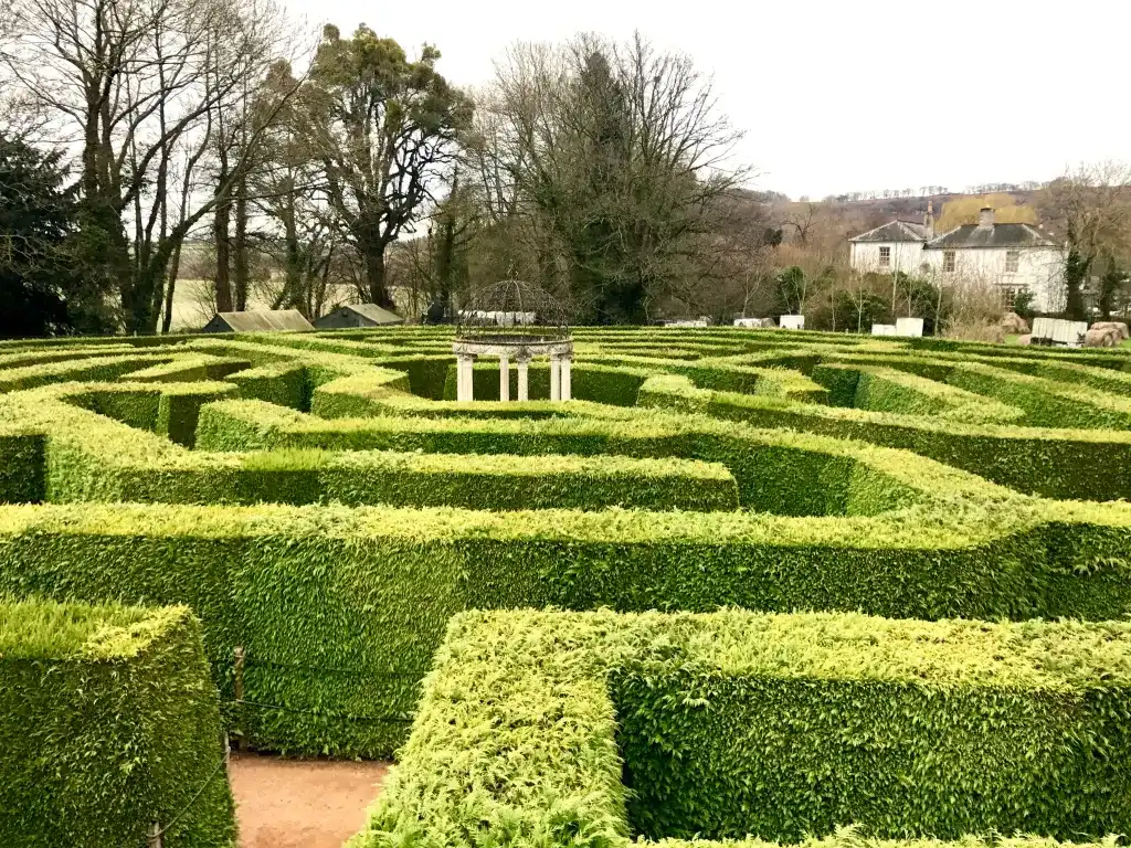 jubilee-maze-2