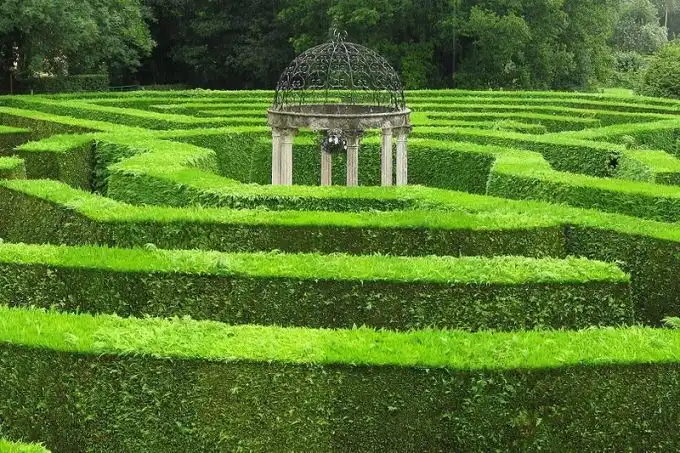 jubilee-maze-3