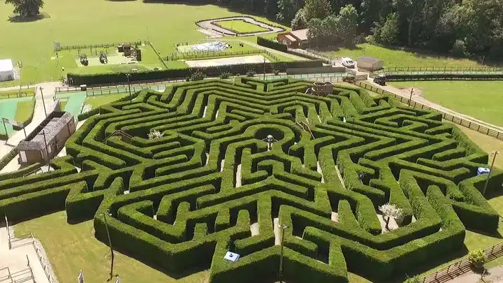 magical-maze-in-stockeld-park-2