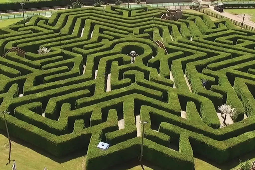 magical-maze-in-stockeld-park-3