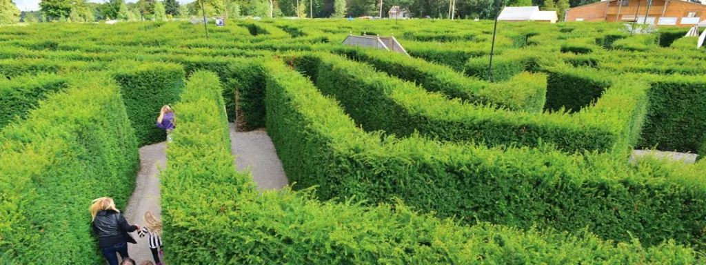 magical-maze-in-stockeld-park-5