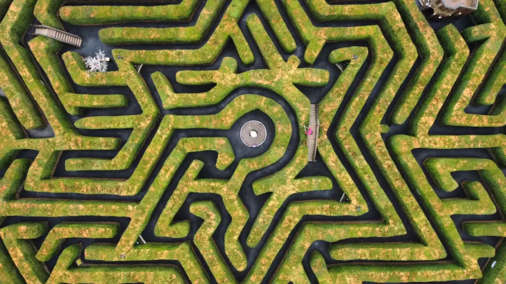 magical-maze-in-stockeld-park-6