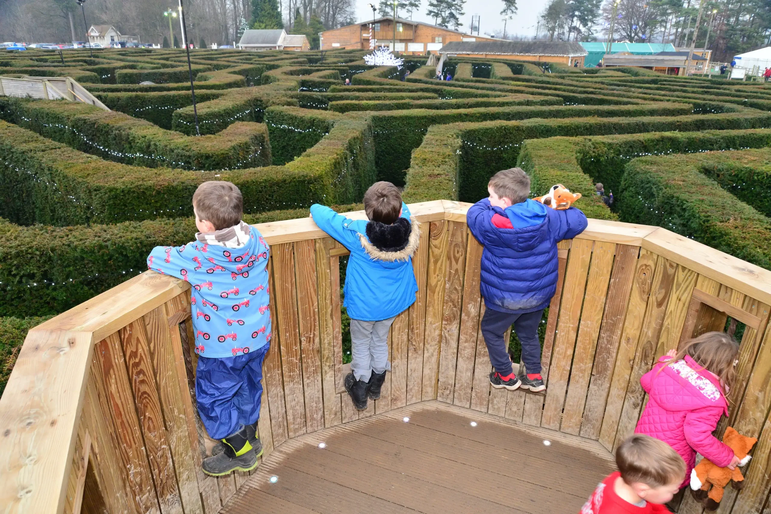 magical-maze-in-stockeld-park-9