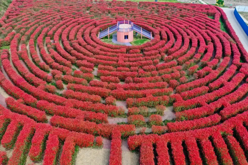 maze-of-sea-flower-12