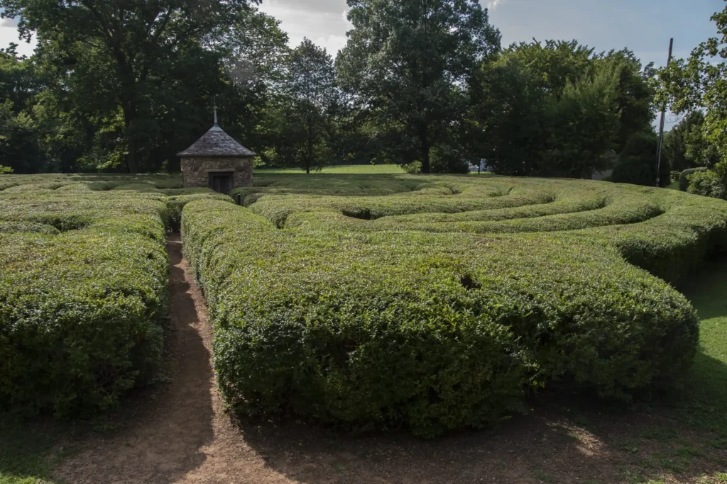 new-harmony-labyrinth-6