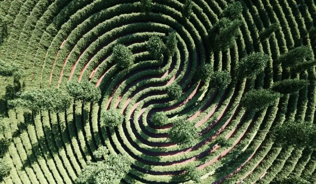 parc-de-la-distance-labyrinth-5