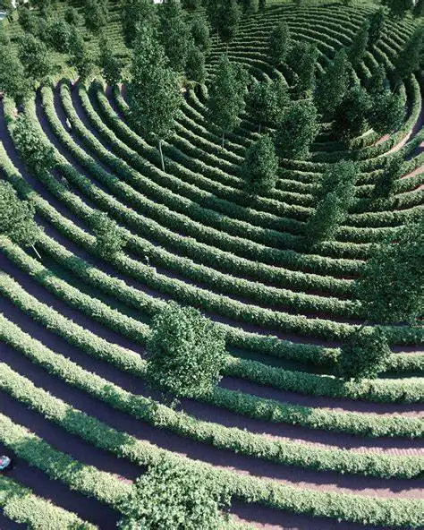 parc-de-la-distance-labyrinth-7