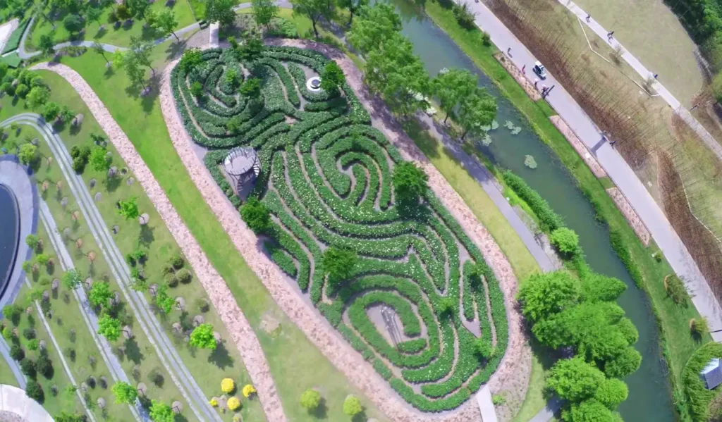 peony-maze-in-shanghai-10