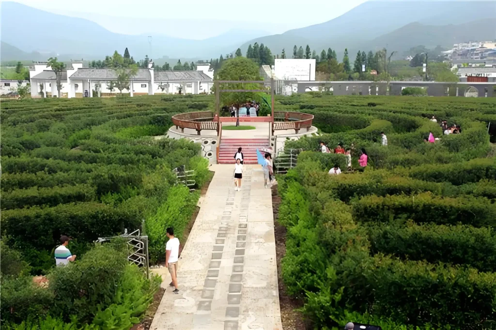 shaowu-weimin-maze-town-7