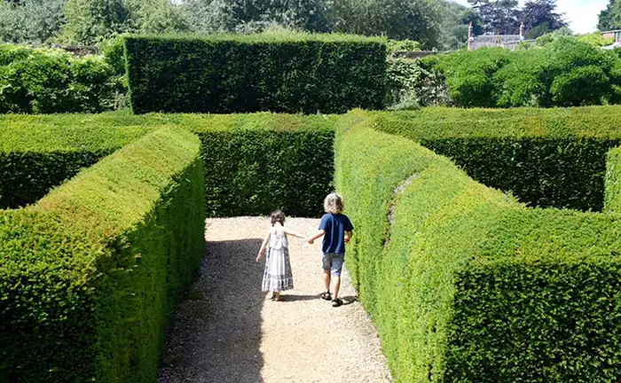 somerleyton-maze-7