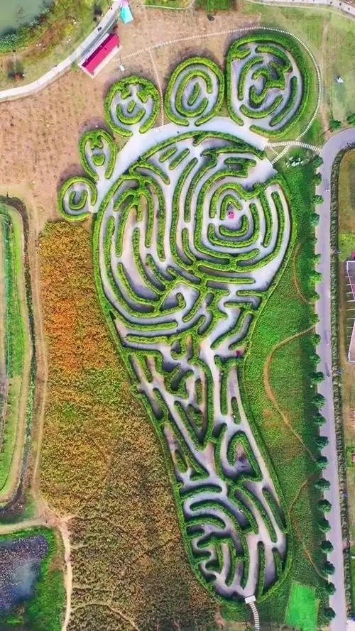 big-foot-maze-1