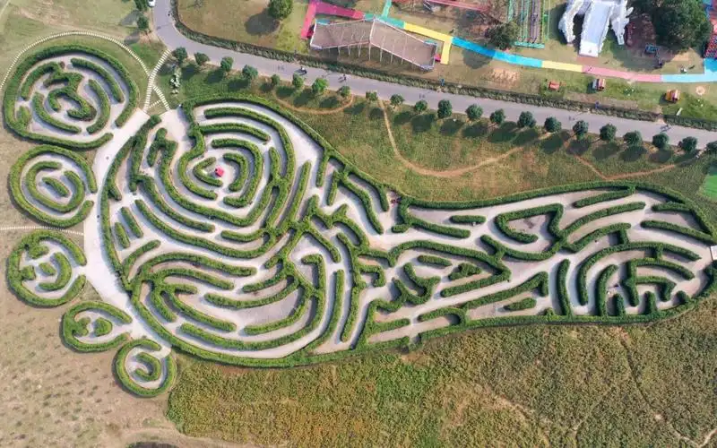 big-foot-maze-3