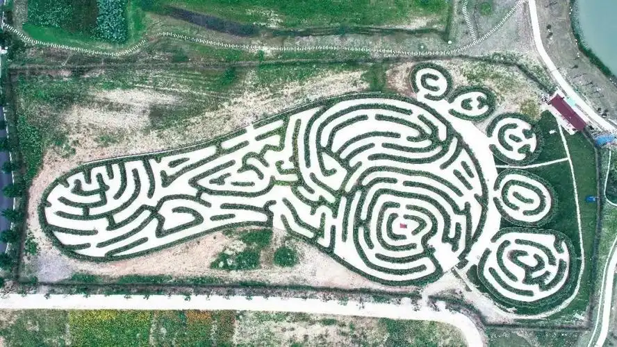 big-foot-maze-5