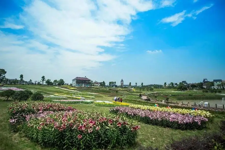 big-foot-maze-9