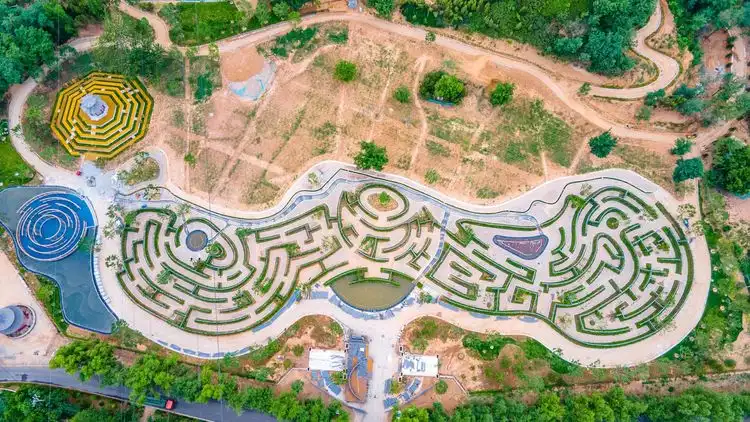 caoxihe-rose-maze-3
