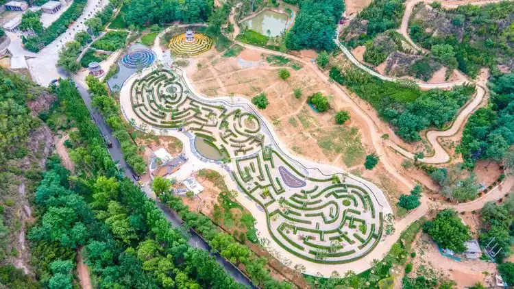 caoxihe-rose-maze-4