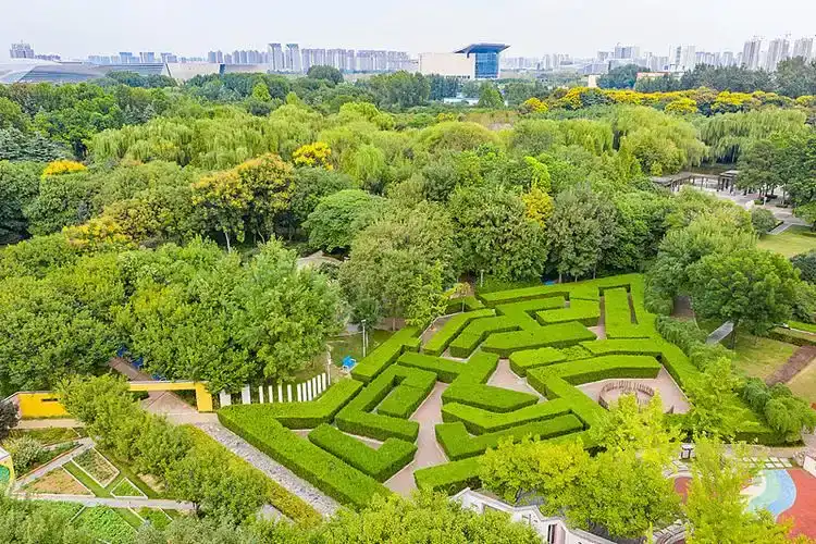 childrens-exploration-garden-maze-3