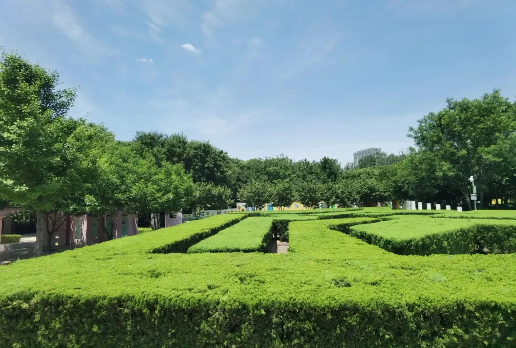 childrens-exploration-garden-maze-7