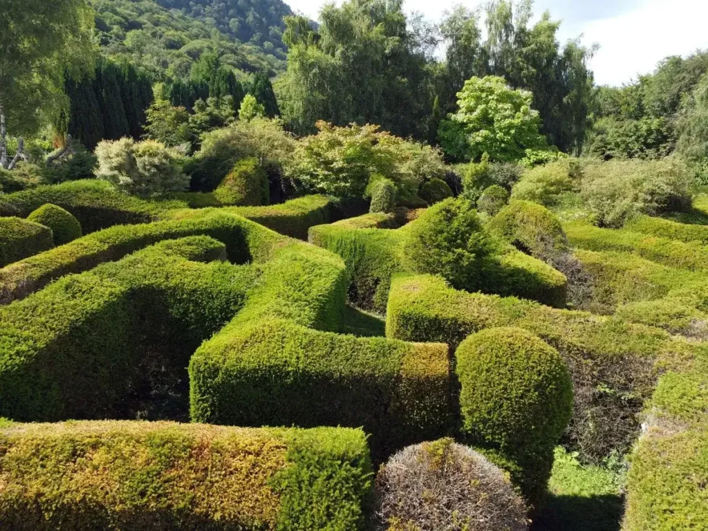 conwy-valley-maze-3