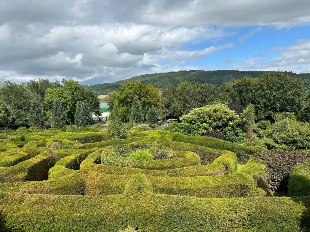 conwy-valley-maze-4