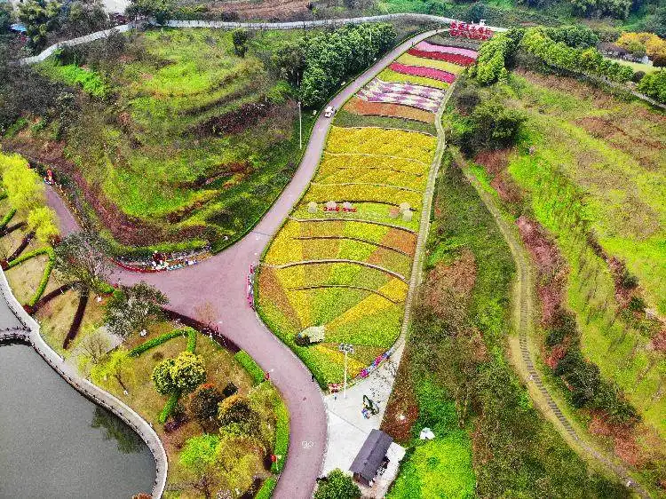 dingshan-maze-7